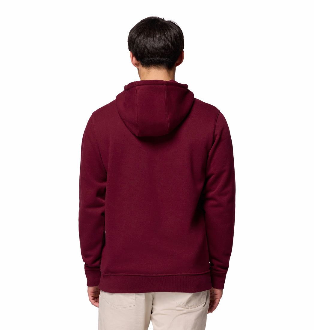 Person wearing a maroon hoodie from behind on a white background
