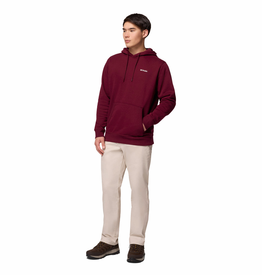 Person wearing a maroon hoodie with a logo on a white background