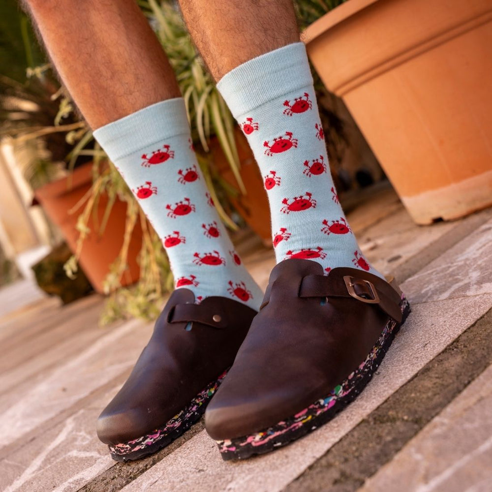 A person wearing light blue crew socks with a red crab pattern, paired with dark brown leather clogs, standing on outdoor stone steps with potted plants in the background.