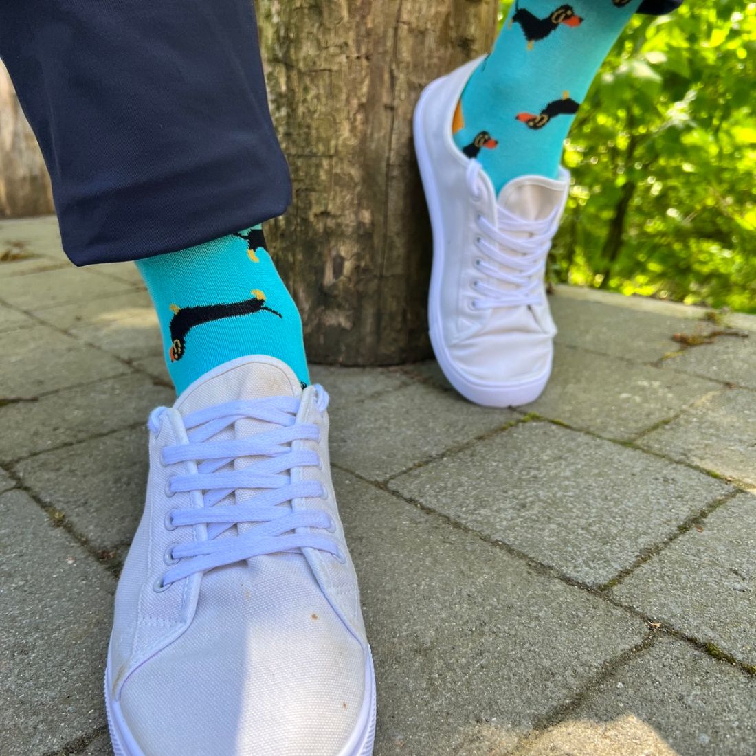 Swole Panda Sausage Dog Bamboo Socks BLUE/BLACK detail view
