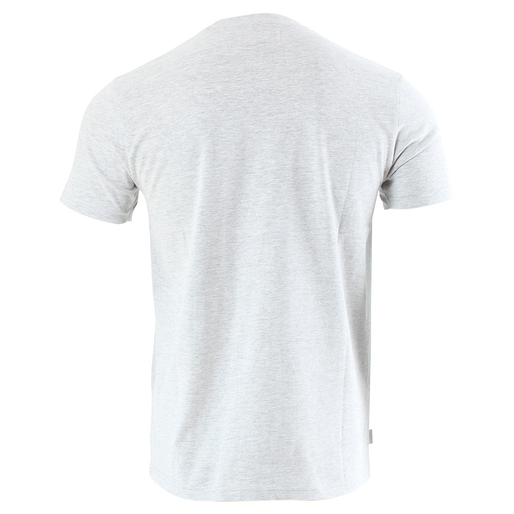Men's Alan Short Sleeve Grey T-Shirt-Ghost Back View