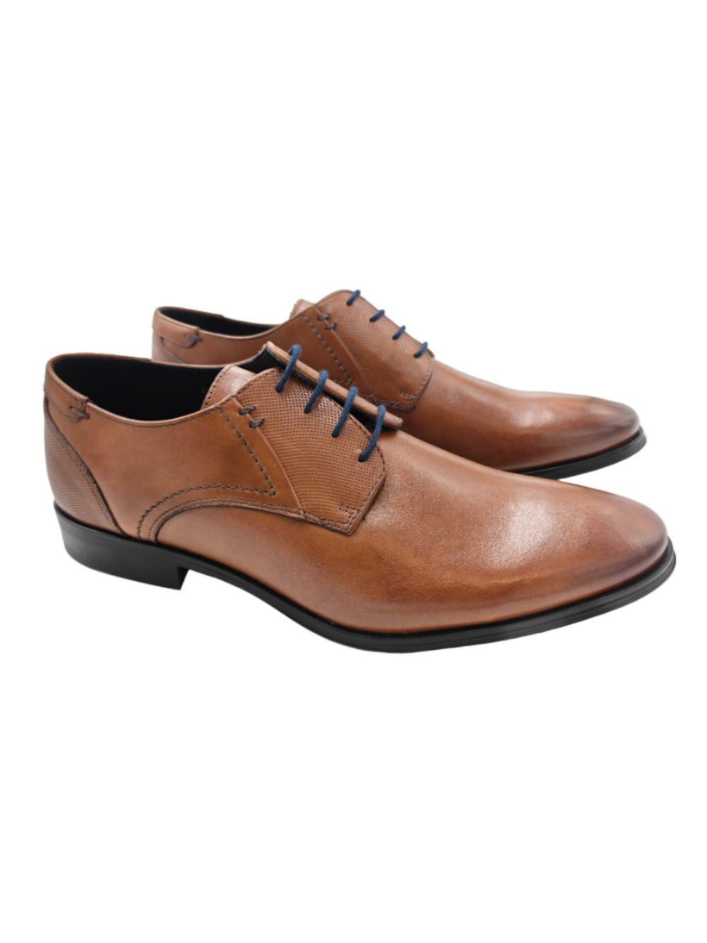 Footwear - Casual & Dress Shoes