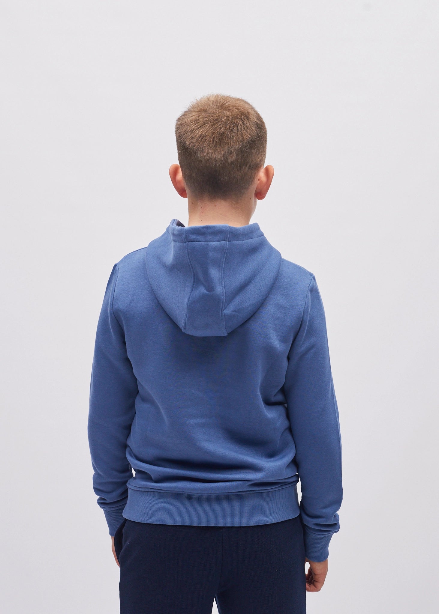 Diesel German Hoodie Denim, product view-back view