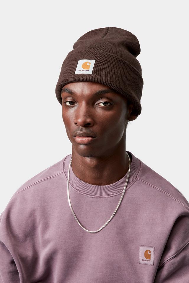 Person wearing a brown beanie and purple sweatshirt with Carhartt logos on a white background