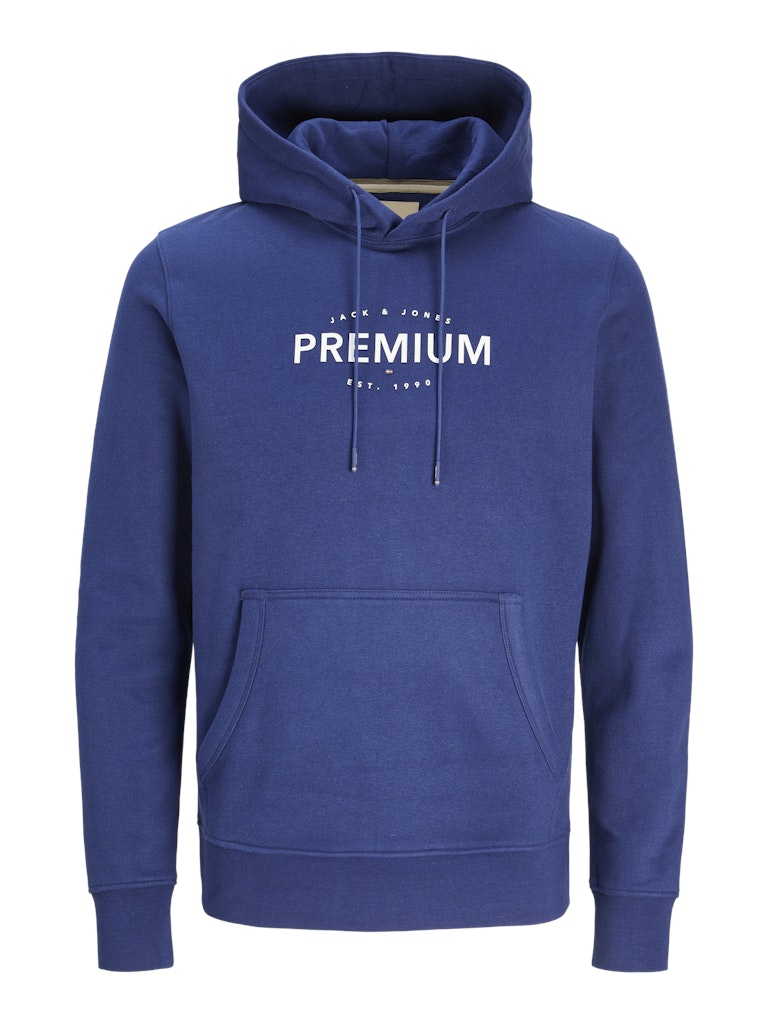 Aslan Blue Sweat Hoodie