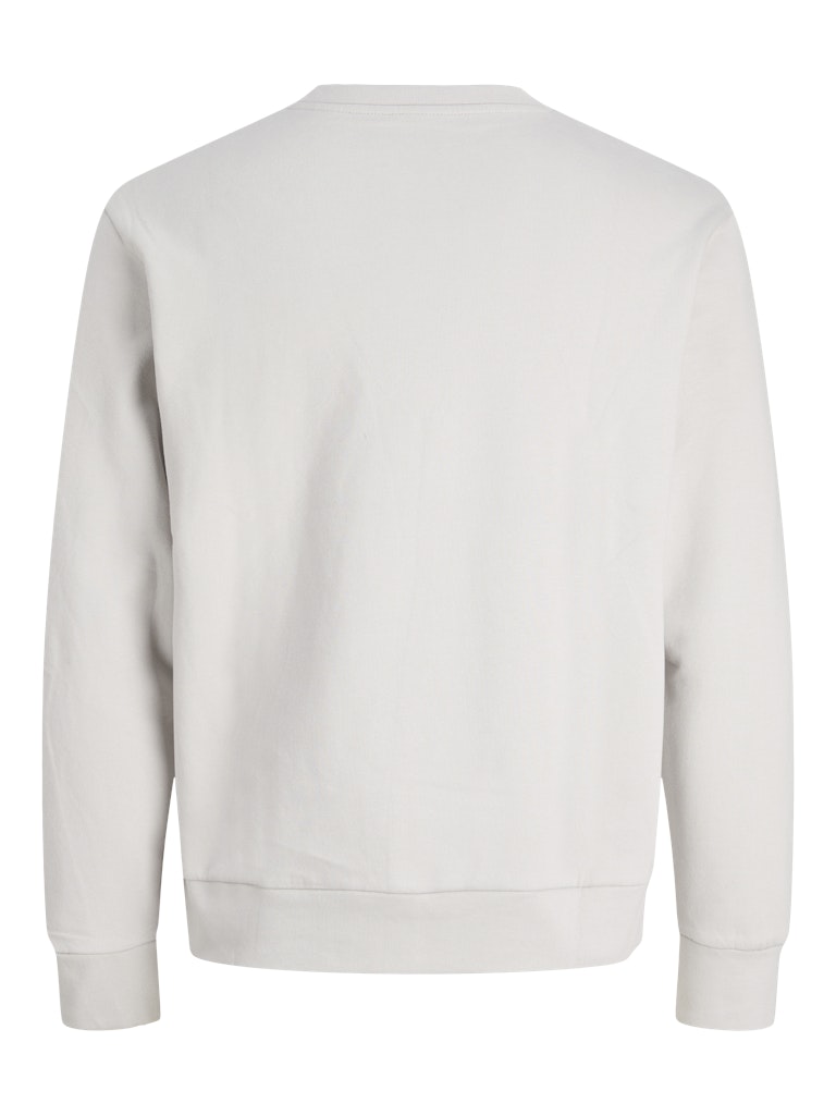 Light gray sweatshirt on a white background