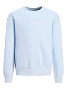 Jack Jones Youths Jorvesterbro Sweat Crew Neck Junior-Skyway Skyway flat front view