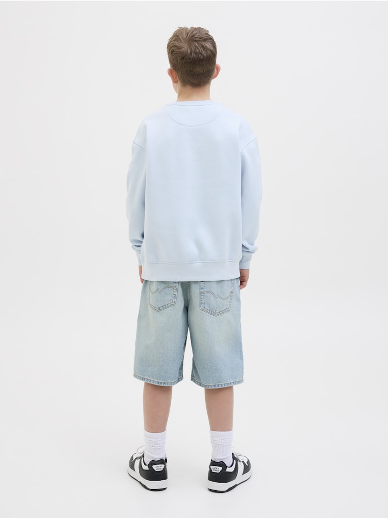 Jack Jones Youths Jorvesterbro Sweat Crew Neck Junior-Skyway Skyway detail view