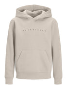 Jack Jones Youths Star Junior Hoodie-Moonbeam Moonbeam front view