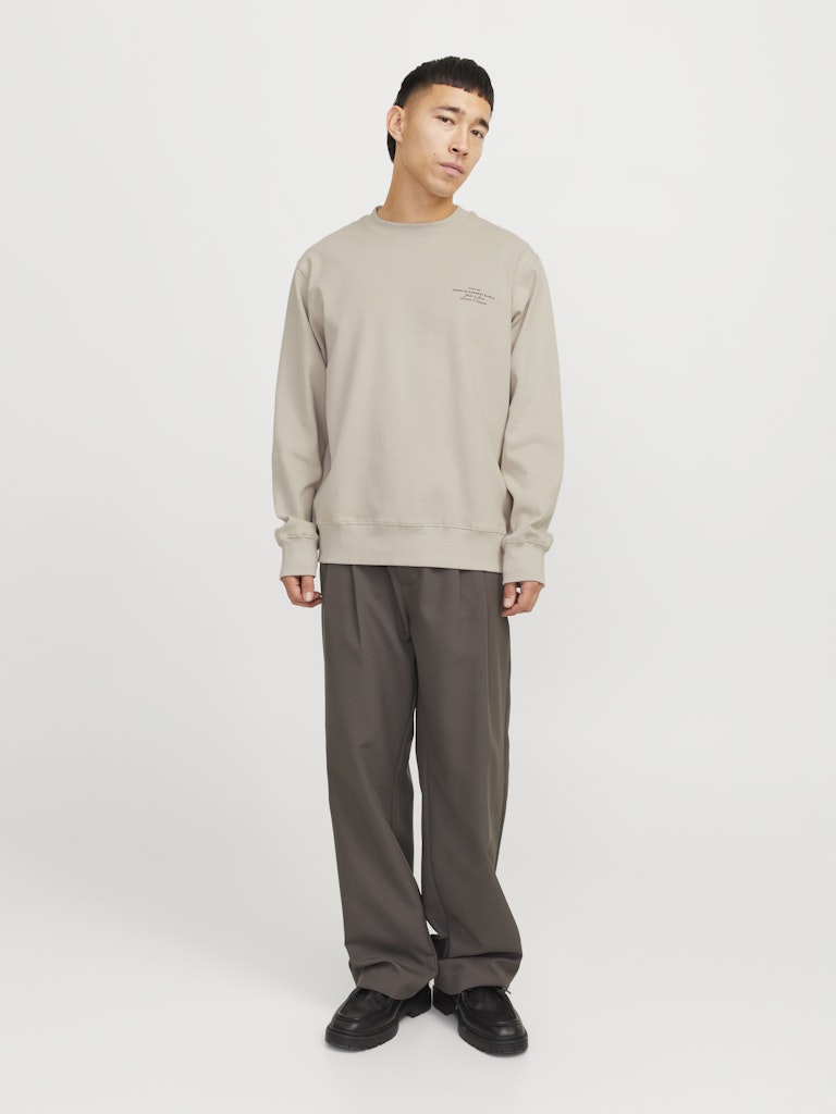 JACK JONES PREMIUM Chad Branding Silver Lining Sweat Silver Lining model front view