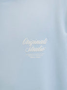 JACK JONES ORIGINALS Norrebro Typo Back Sweat Hood-Skyway Skyway back view