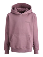 Jack Jones Youths Union Print Sweat Hood Junior-Grape Shake Grape Shake alternate view