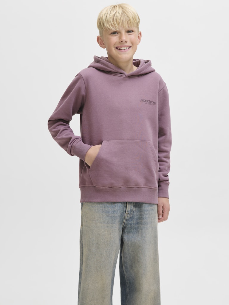 Jack Jones Youths Union Print Sweat Hood Junior-Grape Shake Grape Shake front view