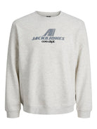 Jack Jones Youths Tier Sweat Crew Neck Junior-White Melange White Melange detail view