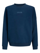 Jack Jones Youths Point Badge Junior Titan Sweatshirt titan back view