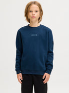 Jack Jones Youths Point Badge Junior Titan Sweatshirt titan front view