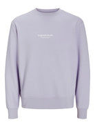 JACK JONES ORIGINALS Vesterbro Cosmic Sky Sweat Cosmic Sky side view
