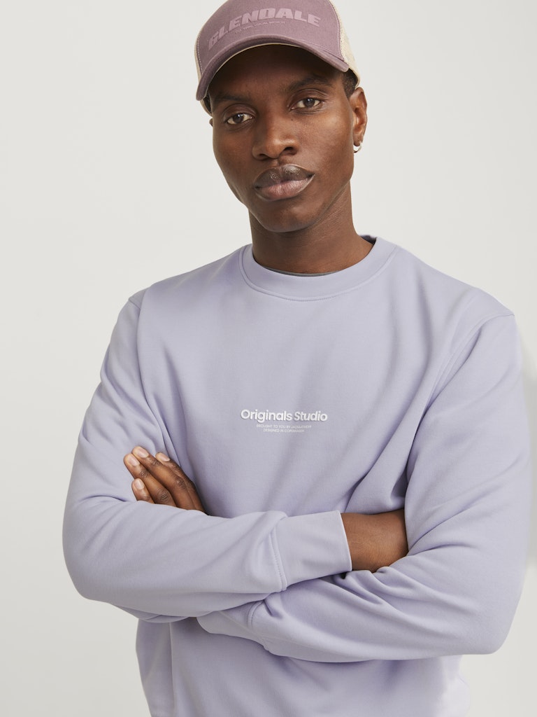 JACK JONES ORIGINALS Vesterbro Cosmic Sky Sweat Cosmic Sky back view