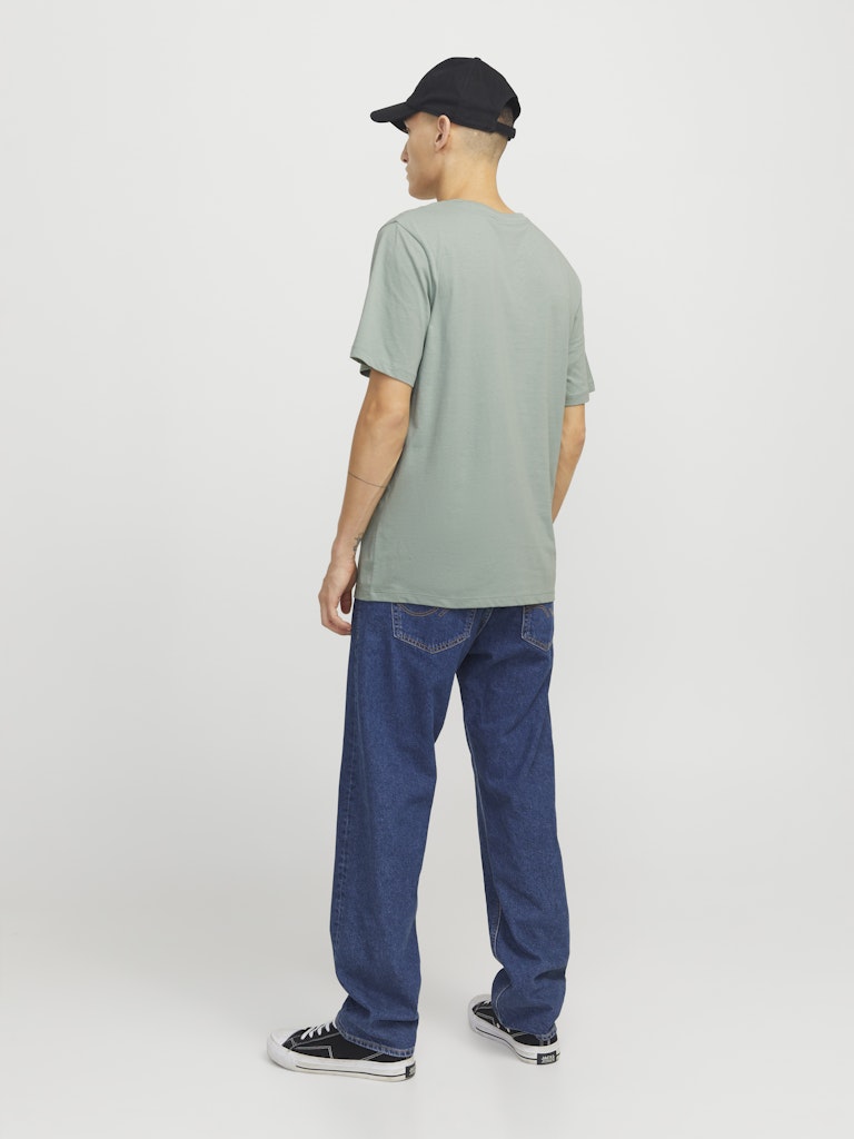 Hudson Iceberg Green Crew Neck Tee-Back view