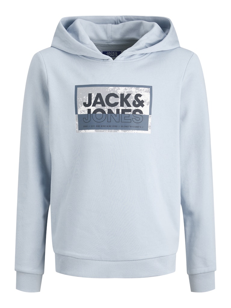 Logan Print Sweat Hoodie -Subdued Blue