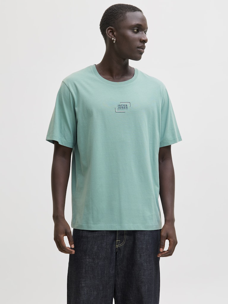 Person wearing a light green t-shirt with a logo on a plain background