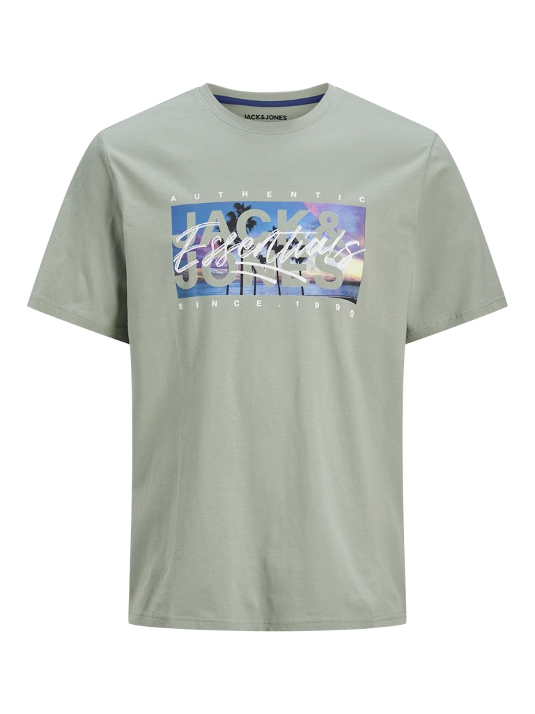 Jack Jones Youths Colton Photoprint Junior Tee Short Sleeve Crew Neck-Iceberg Green Iceberg Green back view