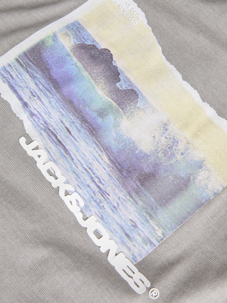 JACK JONES CORE Sago Photo Slub Tee Short Sleeve Crew Neck-Gray Flannel Gray Flannel model front view