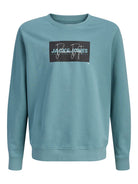 Jack Jones Youths Cole Print Sweatshirt Junior-Mineral Blue Mineral Blue alternate view
