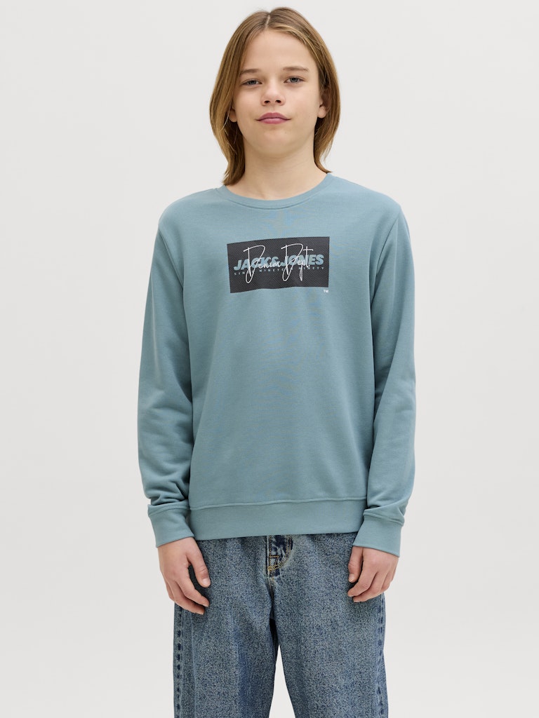 Person wearing a blue sweatshirt with a logo on a plain background