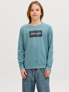 Jack Jones Youths Cole Print Sweatshirt Junior-Mineral Blue Mineral Blue model front view