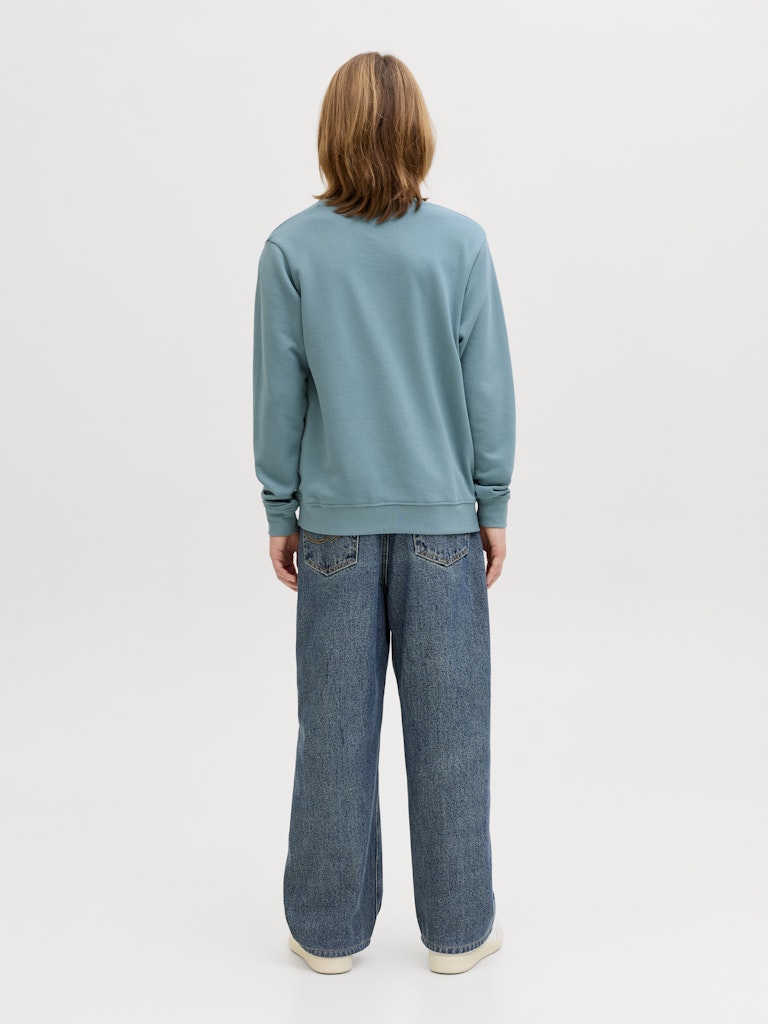 Person wearing a light blue sweatshirt and jeans on a white background