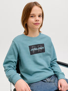 Jack Jones Youths Cole Print Sweatshirt Junior-Mineral Blue Mineral Blue front view