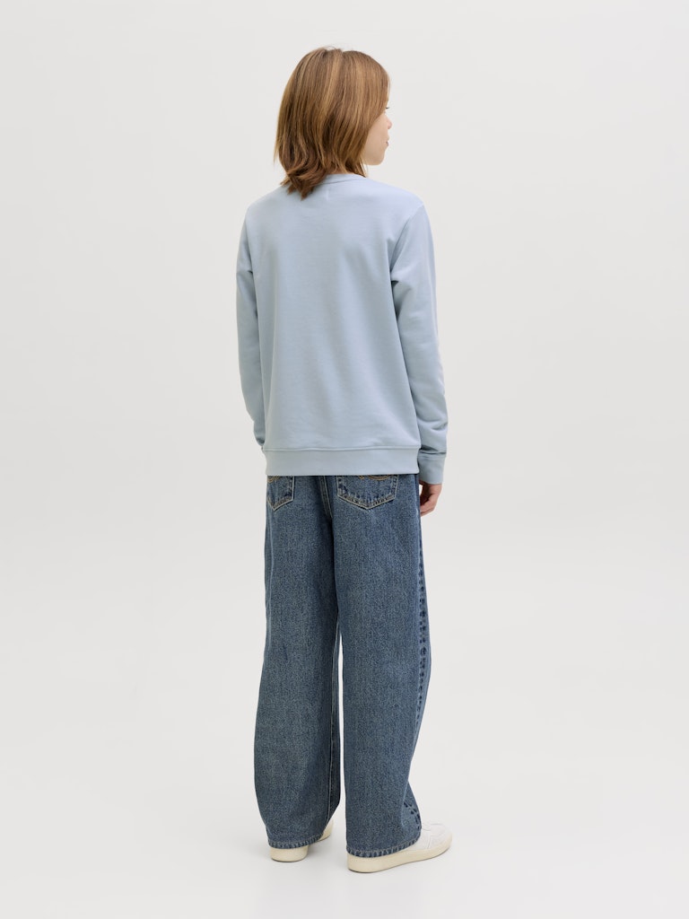 Person wearing a light blue sweatshirt and jeans on a white background