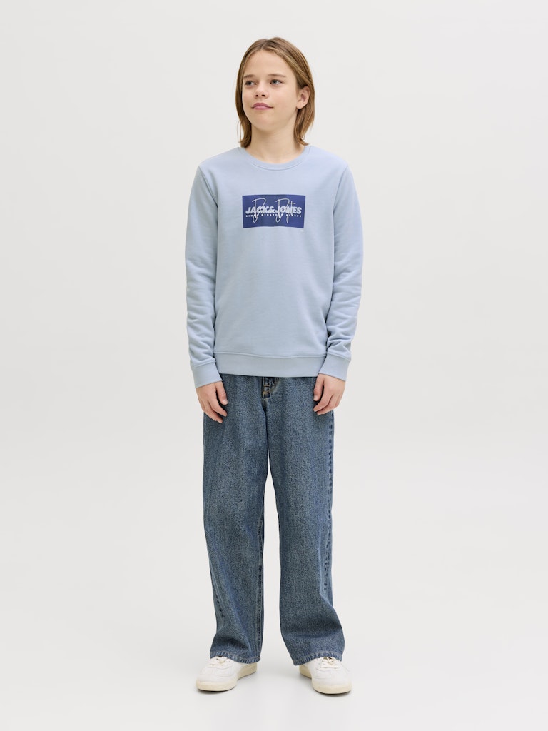 Person wearing a light blue sweatshirt with a logo and jeans on a white background