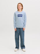 Jack Jones Youths Cole Print Sweatshirt Junior-Celestial Blue Celestial Blue model front view