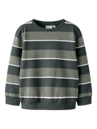 NAME IT Bruce Kid Boy Sweatshirt Shadow model front view