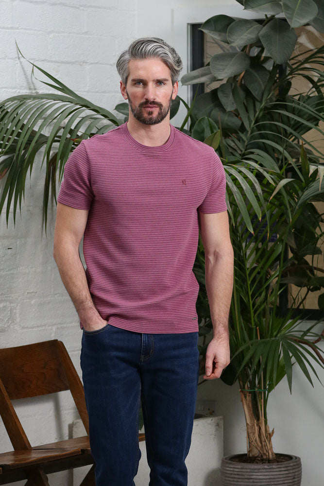 Kenrow Kenny grape melange striped T-shirt worn by model, front view