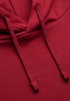 Superdry Essential Sdco Logo Hoodie in League Red hood and logo detail
