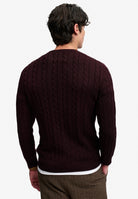 Superdry Cotton Cable Knit Crew in Winter Port back view on model
