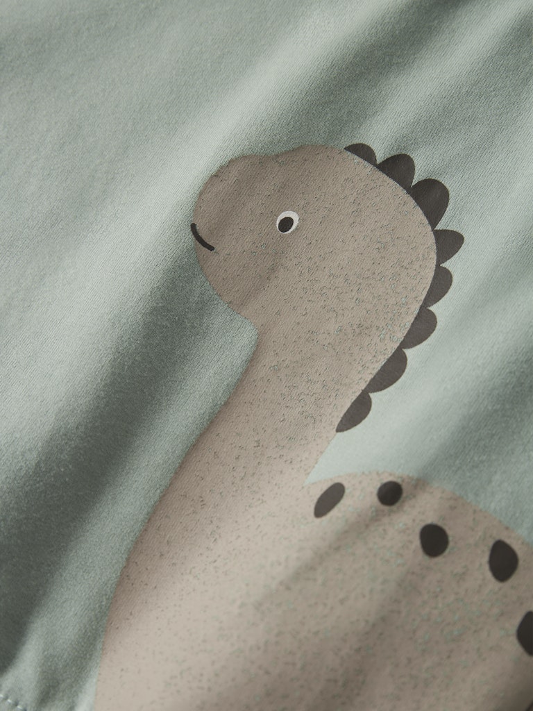 Close-up of a dinosaur design on a fabric background