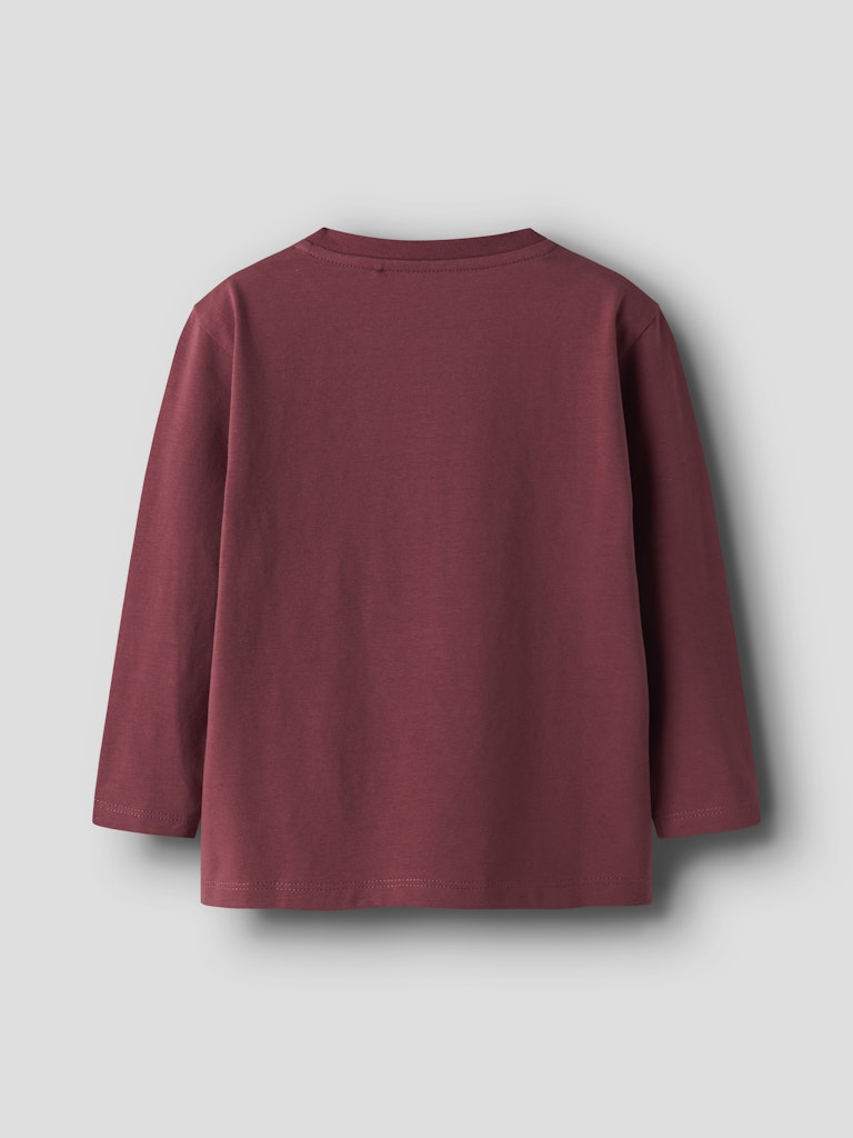 Rubin Long Sleeve Top-Burnt Russet-Back View