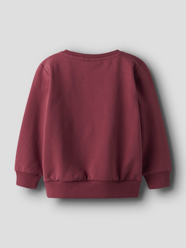 Roval Long Sleeve Sweatshirt-Burnt Russet-Back View