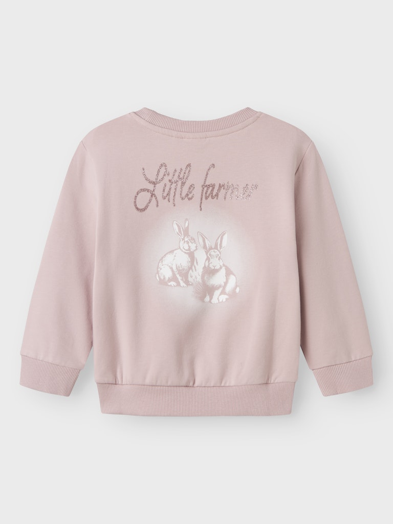 Laise Sweatshirt Pink-Back View