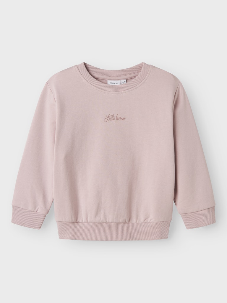 Laise Sweatshirt Pink-Front View