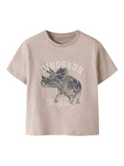NAME IT Feath Kid Boy T-Shirt Chateau Gray model front view
