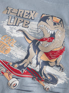 NAME IT Vanyo Short Sleeve T-Shirt Blue Fog Dino Skate alternate view