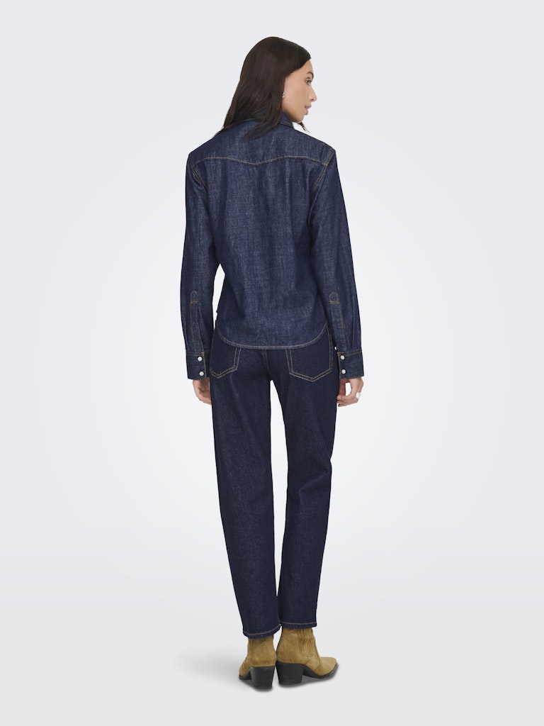 Ladies Charlize Long Sleeve Denim Shirt - Blue-Model Back View