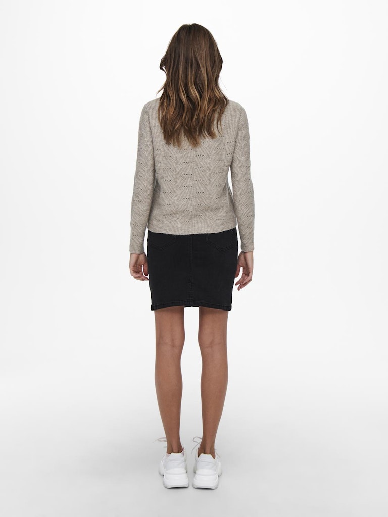 Ladies Lolli Long Sleeve Pullover Knit-Taupe Grey-Model Back View