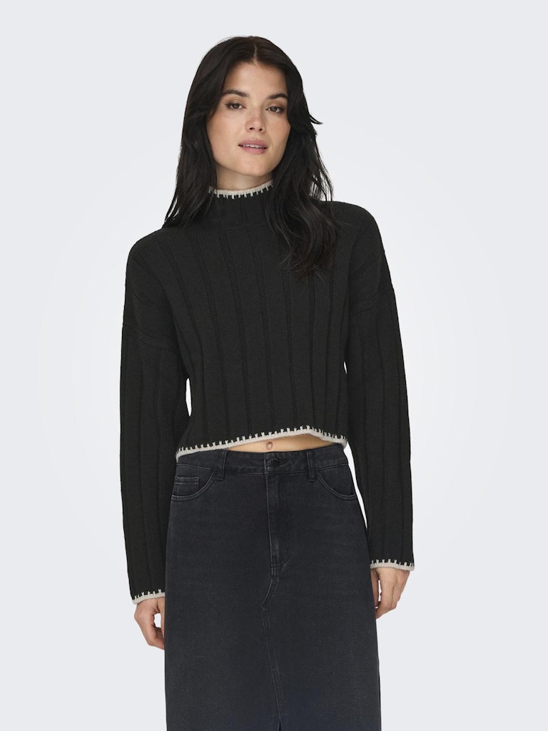 ONLY Chick Stitch Long Sleeve High Neck Black model front view