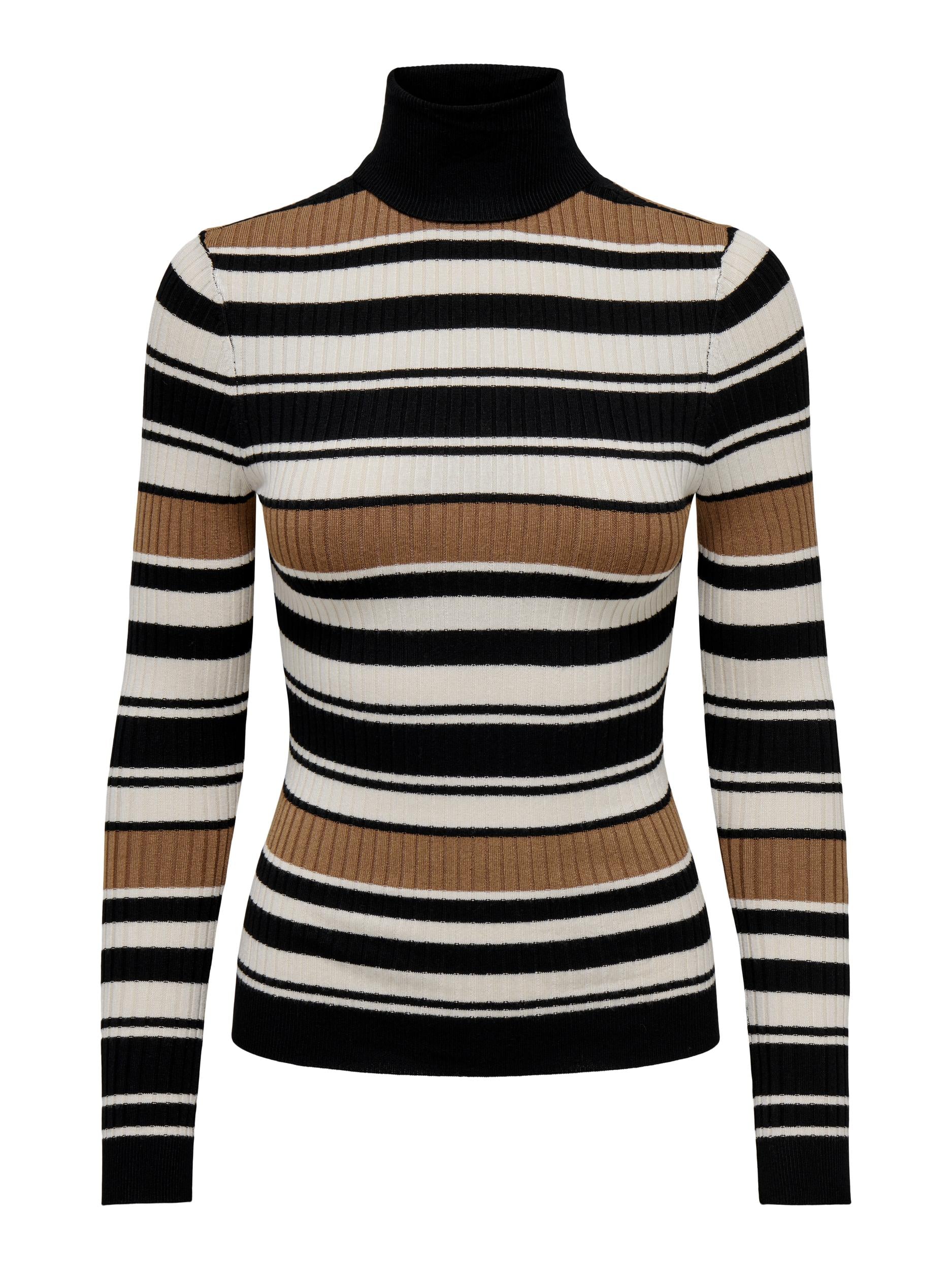 Ladies Karol Long Sleeve Rollneck Pullover Knit-Black-Ghost Front View